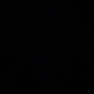 Meet your Posher, Ben